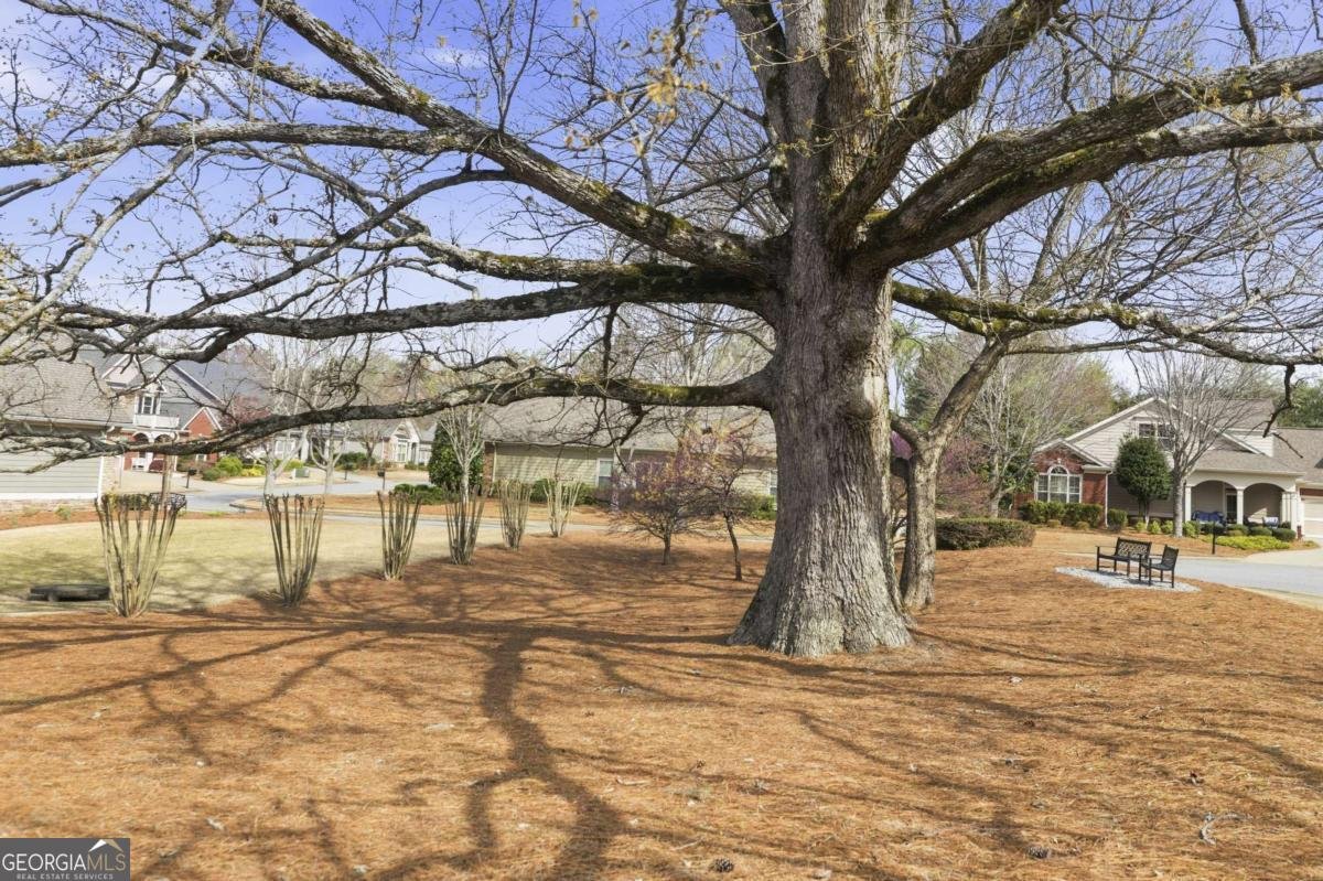 1895 Brannon Commons Circle Cumming - Photo 50