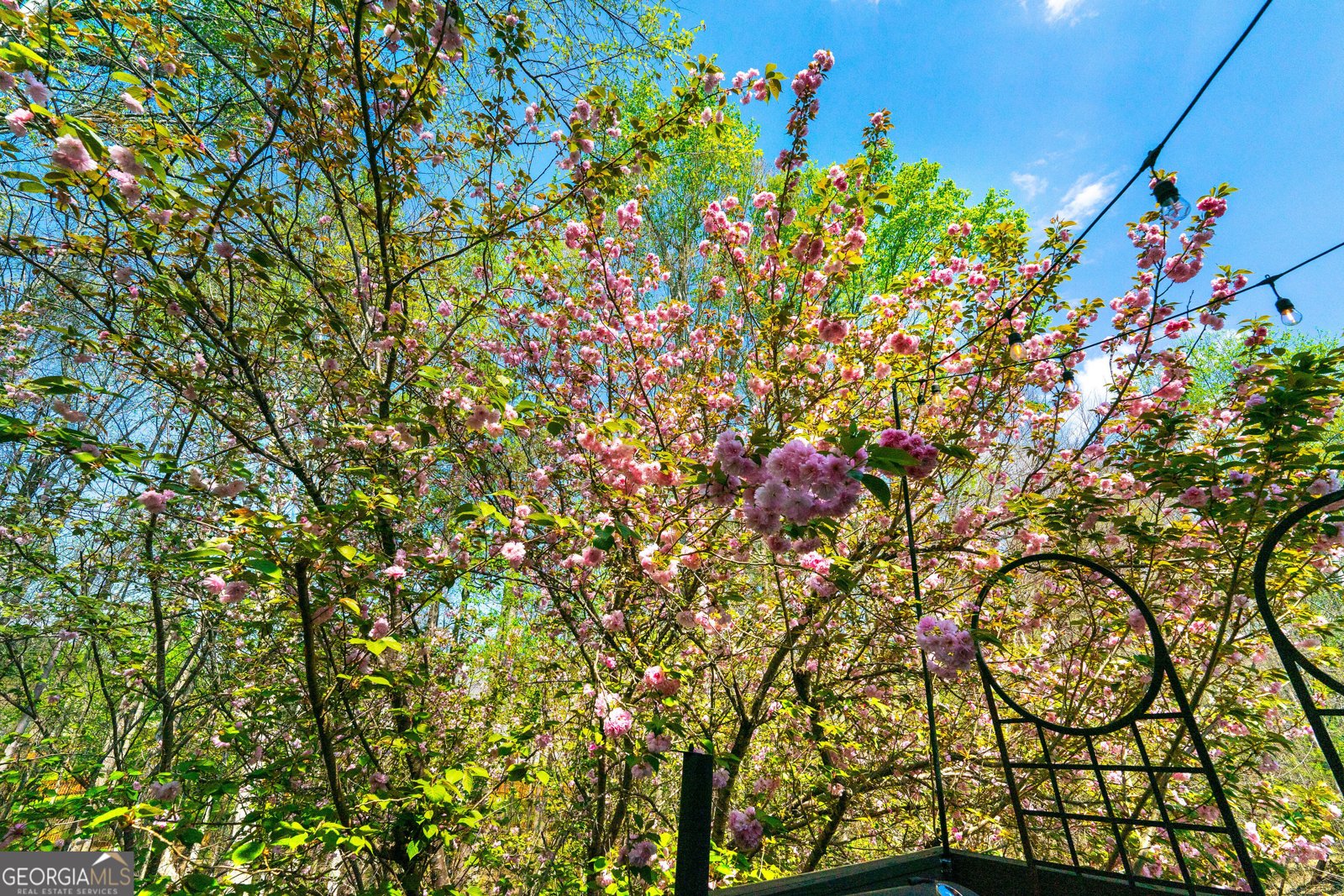 2730 Spindletop Lane NW Kennesaw - Photo 36