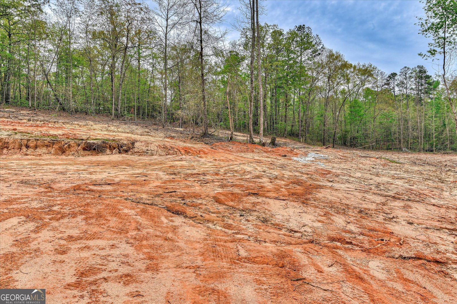 4052 U.S. Hwy 25 Hephzibah - Photo 34