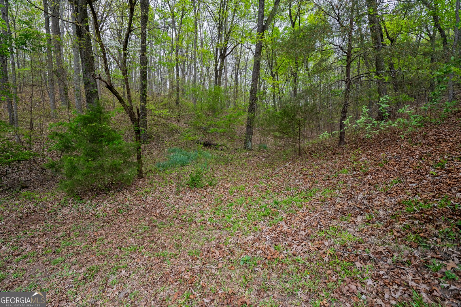 202 Fair Street Summerville - Photo 31