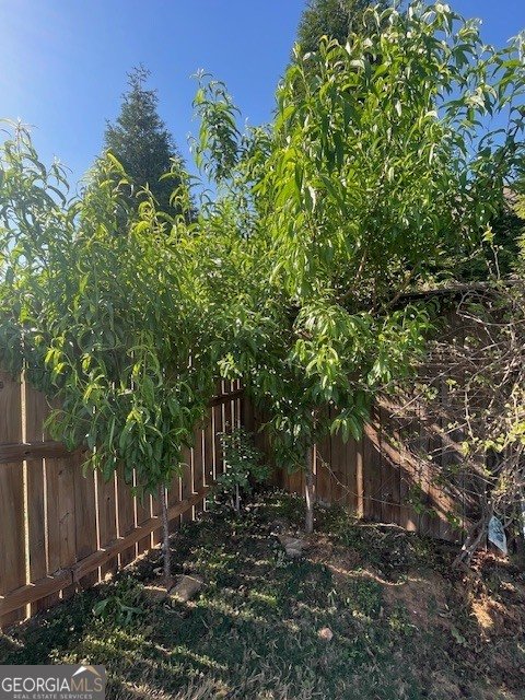 795 Sienna Valley Drive Braselton - Photo 47