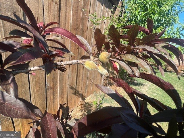 795 Sienna Valley Drive Braselton - Photo 50