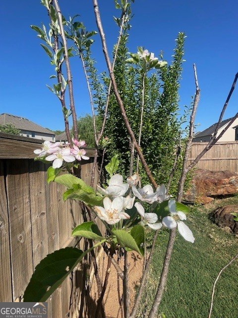 795 Sienna Valley Drive Braselton - Photo 51