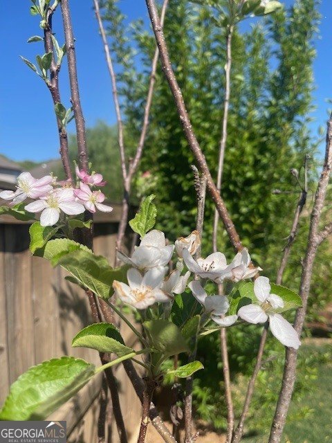 795 Sienna Valley Drive Braselton - Photo 52