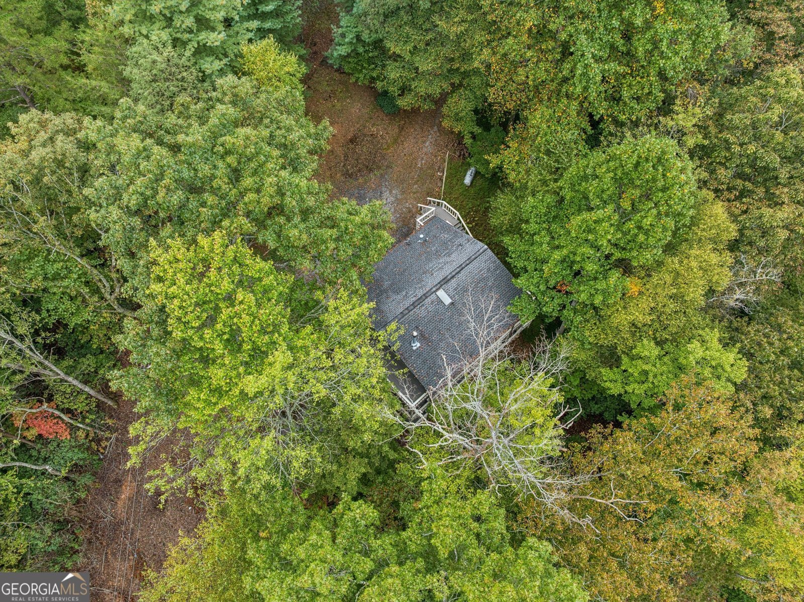 4113 White Oak Drive Hiawassee - Photo 41