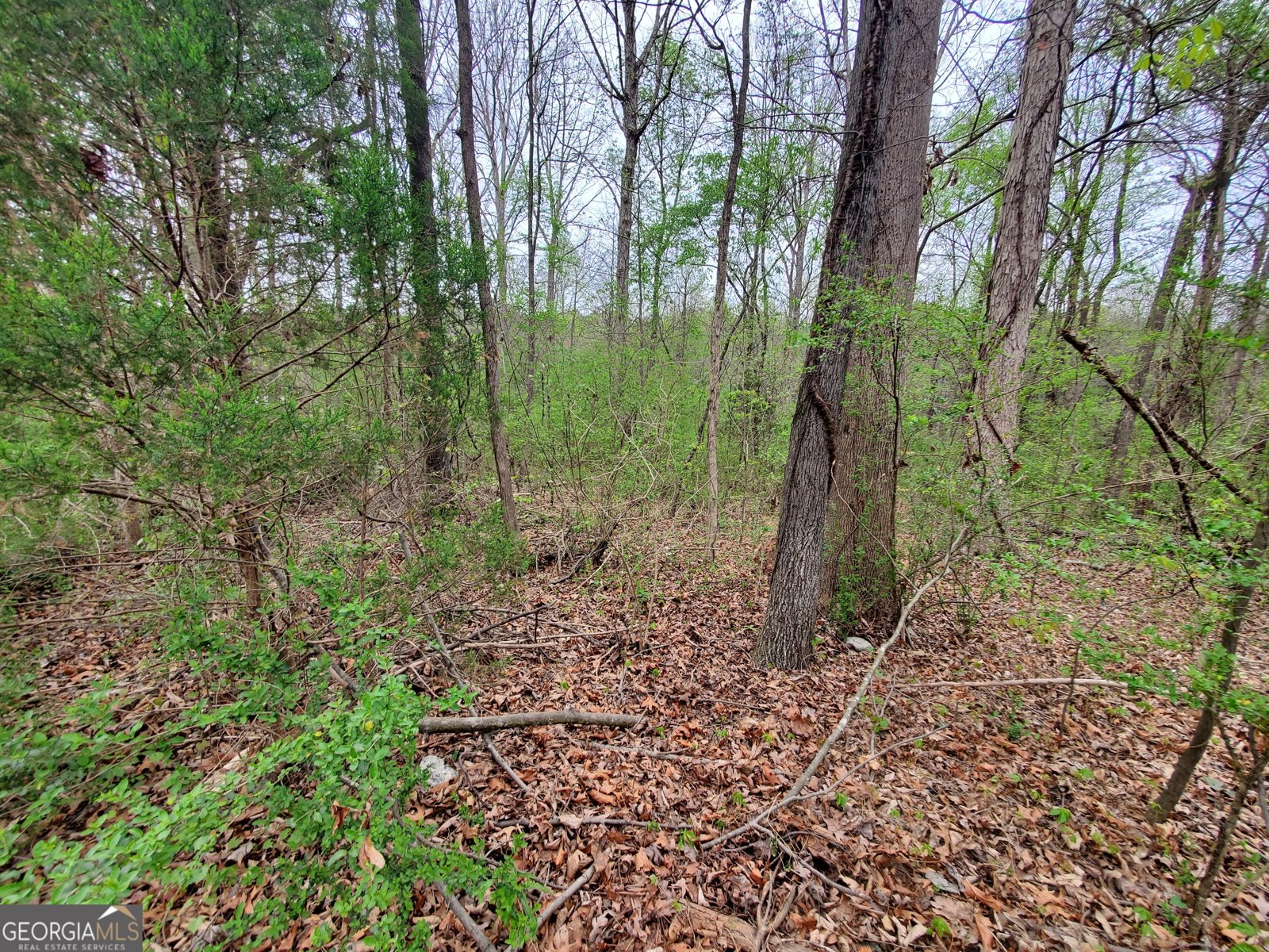 320 Brody Drive Resaca - Photo 28