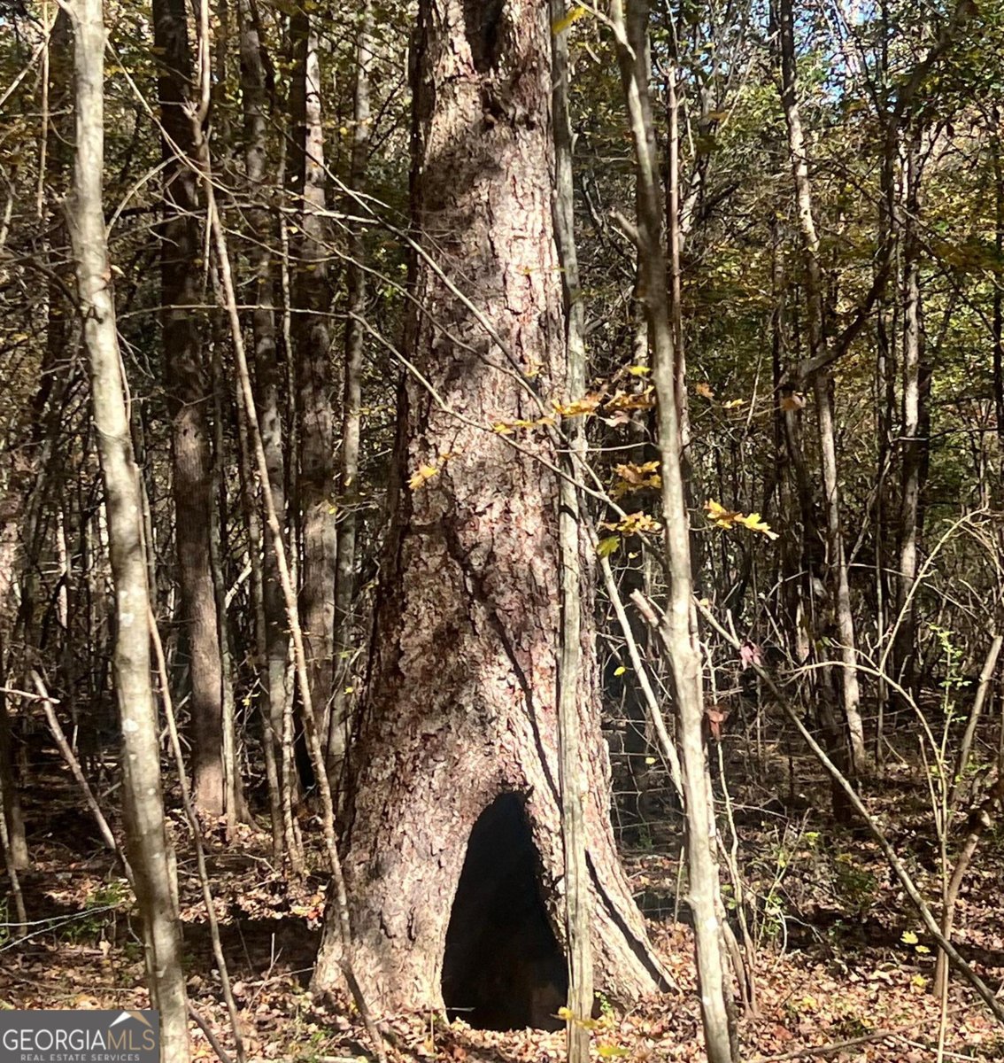 486 Sweetwater Bend Villa Rica - Photo 16