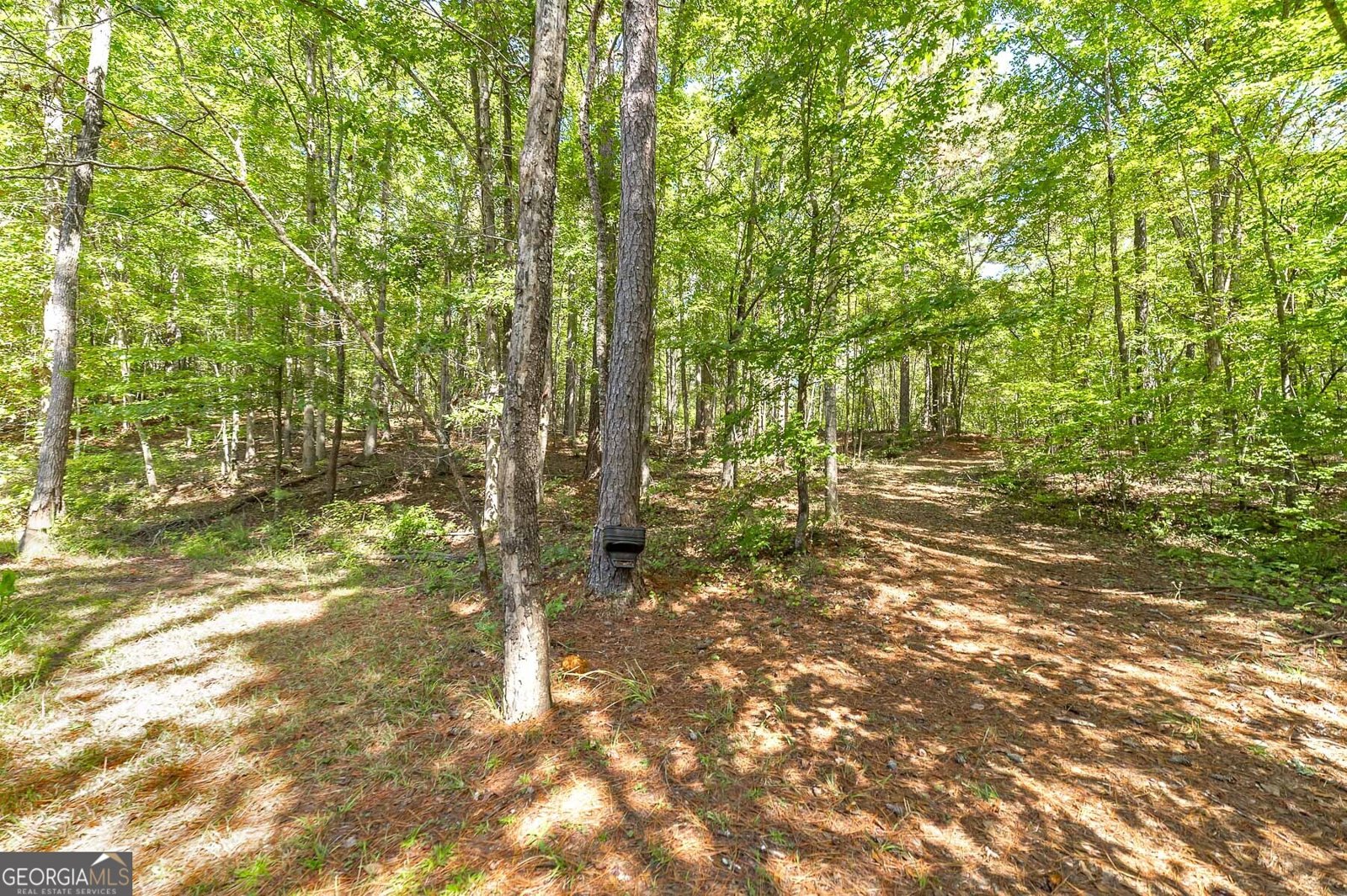 447 Grandview Road Mansfield - Photo 32