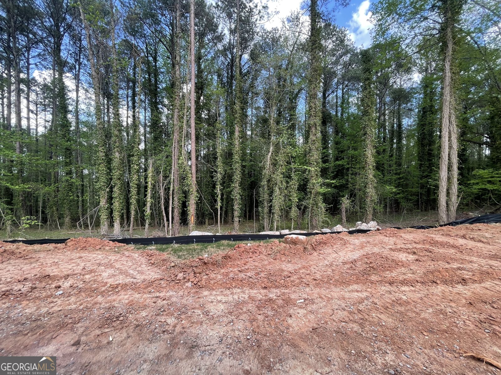 8890 Blackhall Road Jonesboro - Photo 9