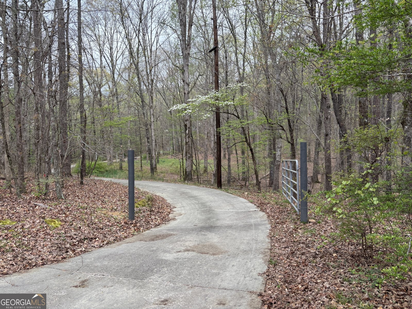 2246 Neal Gap Road Summerville - Photo 11