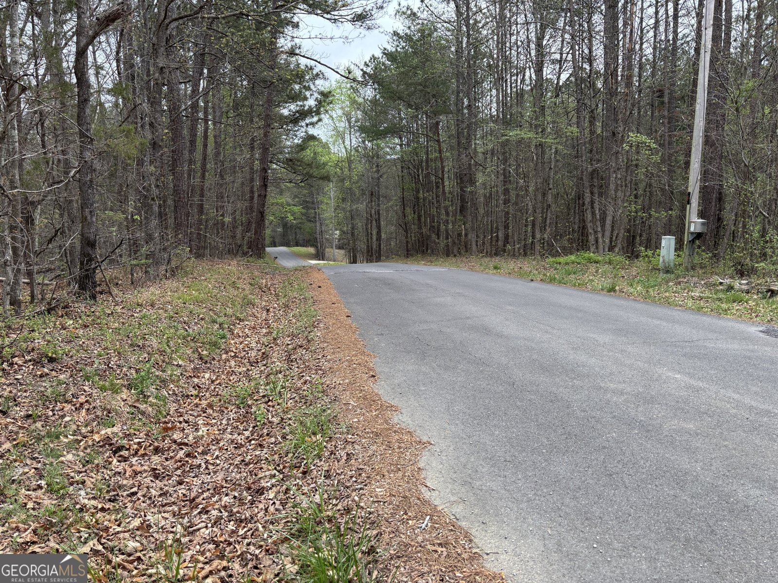 2246 Neal Gap Road Summerville - Photo 12