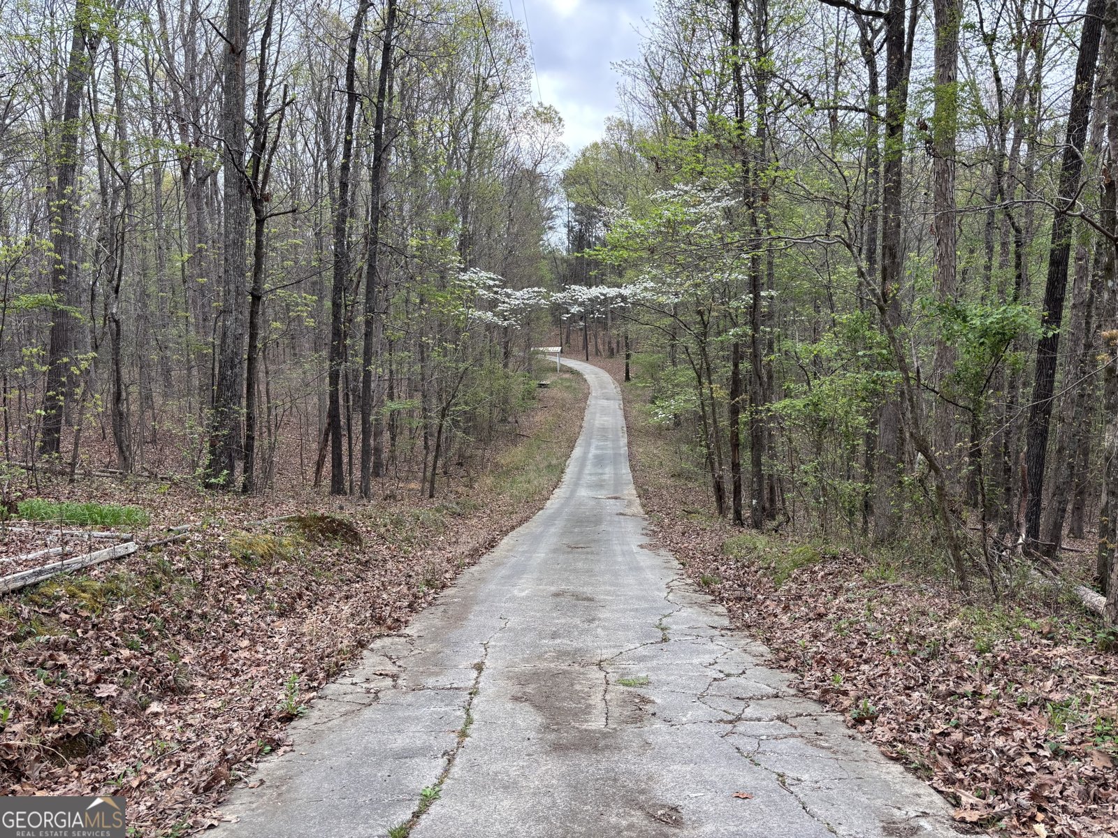 2246 Neal Gap Road Summerville - Photo 29