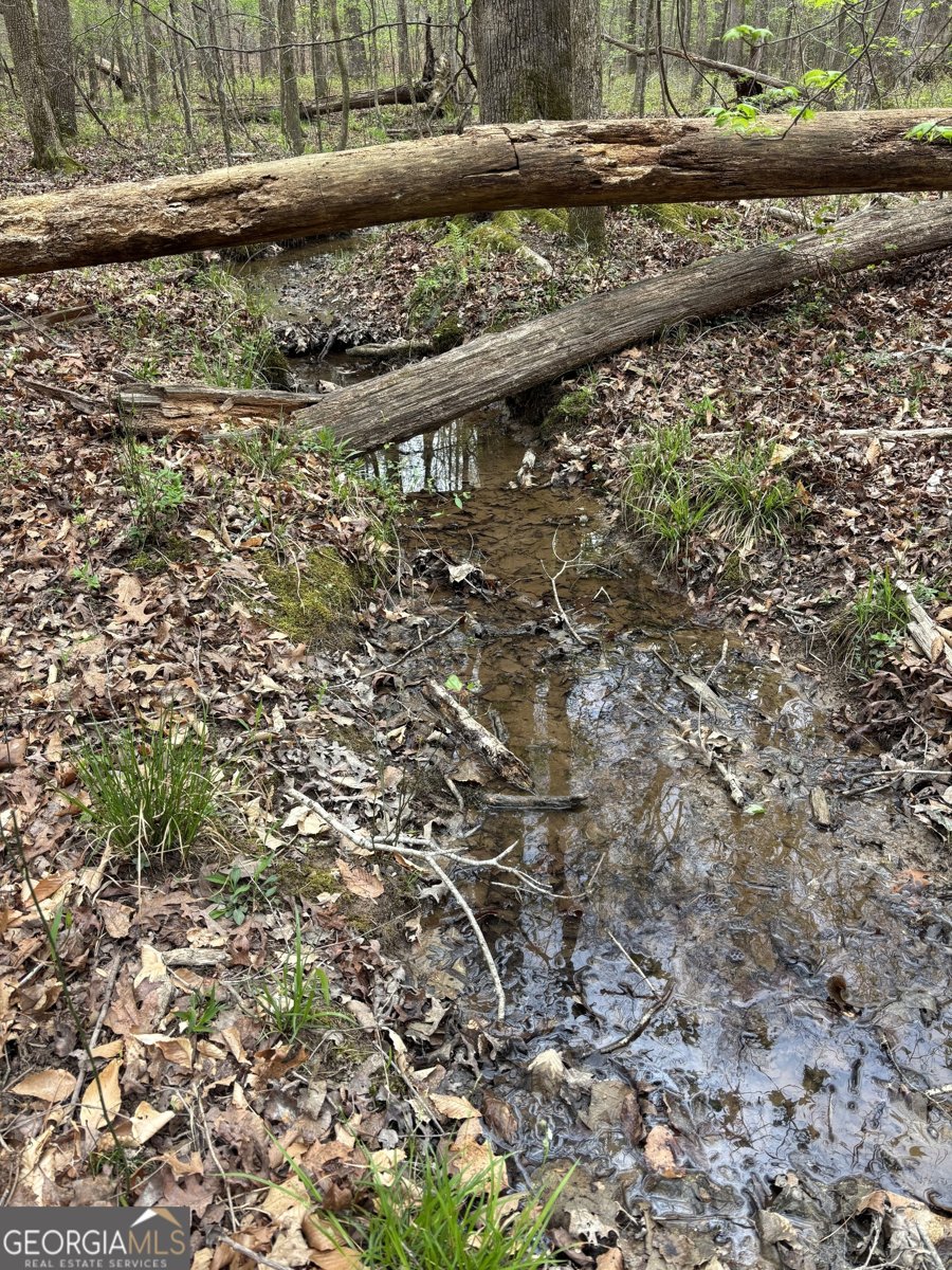 2246 Neal Gap Road Summerville - Photo 32