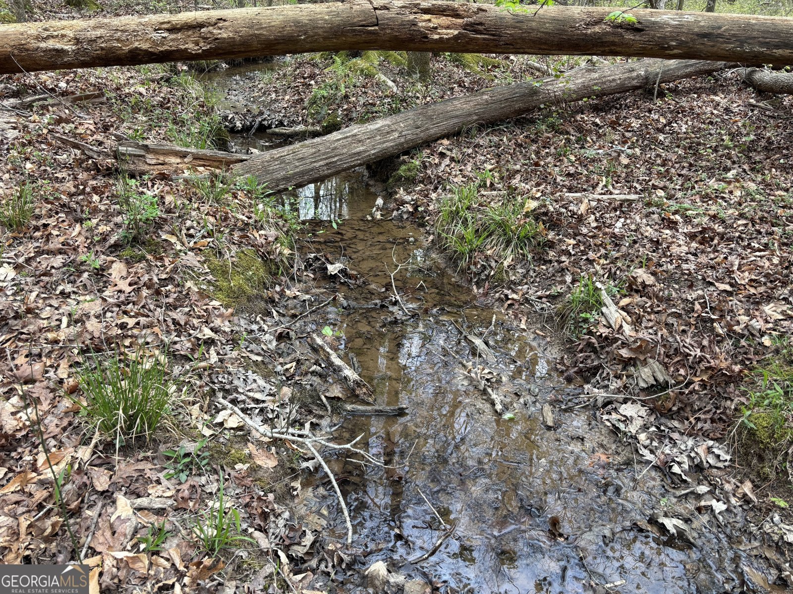 2246 Neal Gap Road Summerville - Photo 33