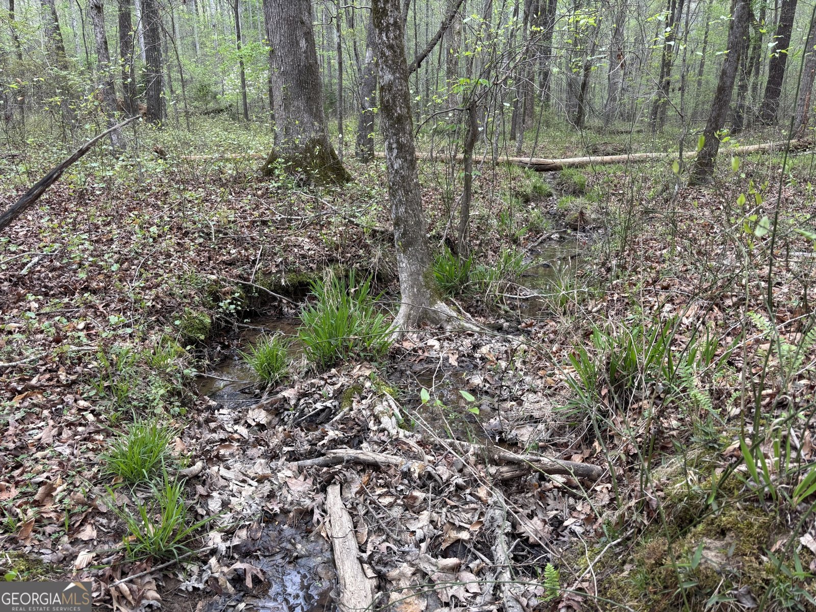 2246 Neal Gap Road Summerville - Photo 34