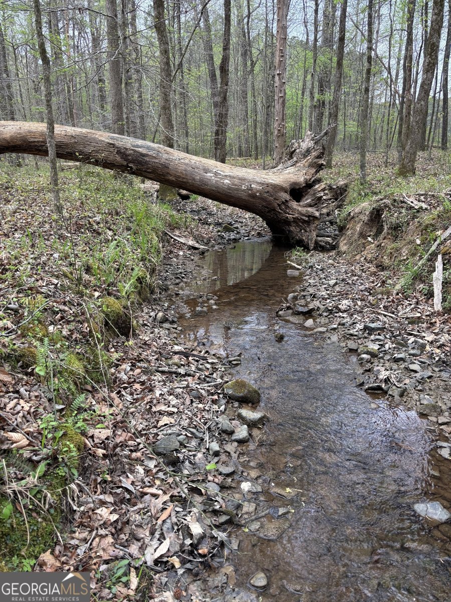 2246 Neal Gap Road Summerville - Photo 35