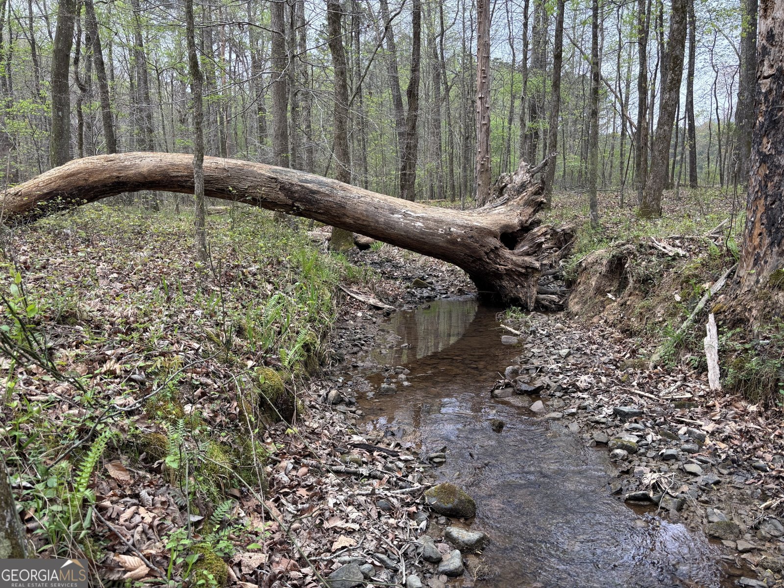 2246 Neal Gap Road Summerville - Photo 36