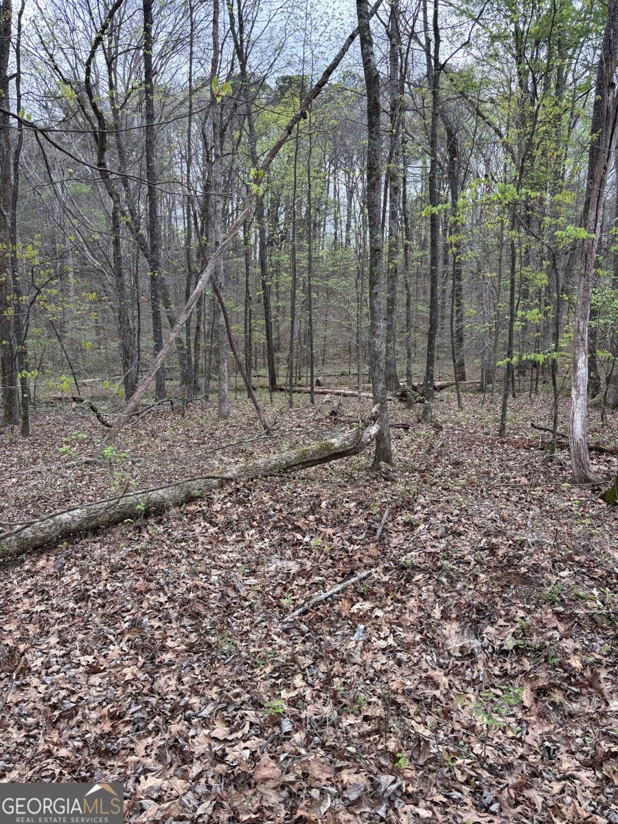 2246 Neal Gap Road Summerville - Photo 37