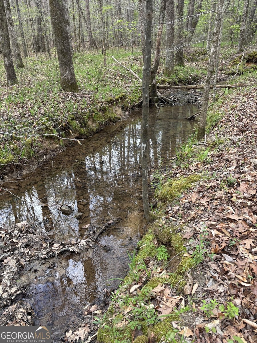 2246 Neal Gap Road Summerville - Photo 39