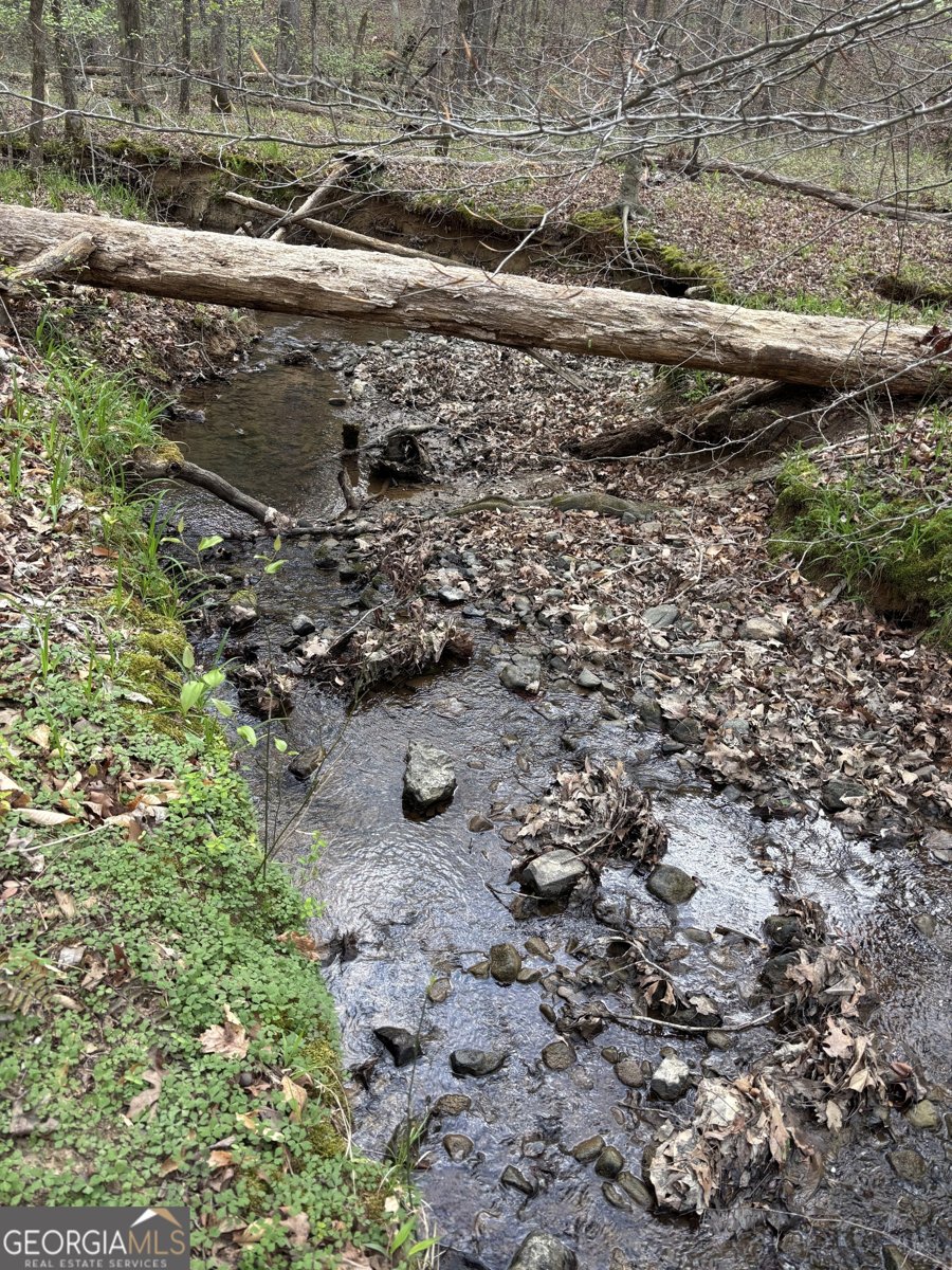 2246 Neal Gap Road Summerville - Photo 40