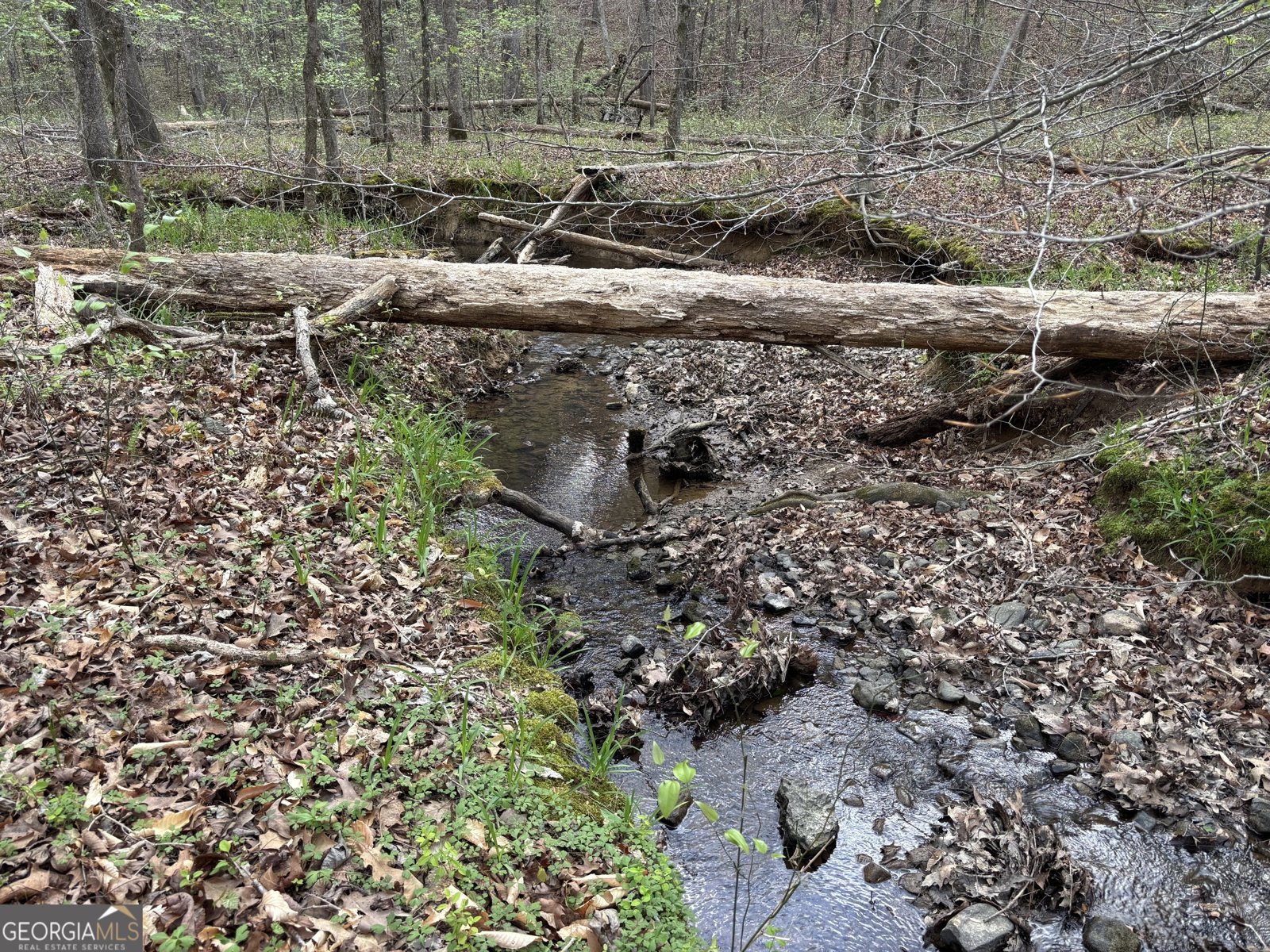 2246 Neal Gap Road Summerville - Photo 41