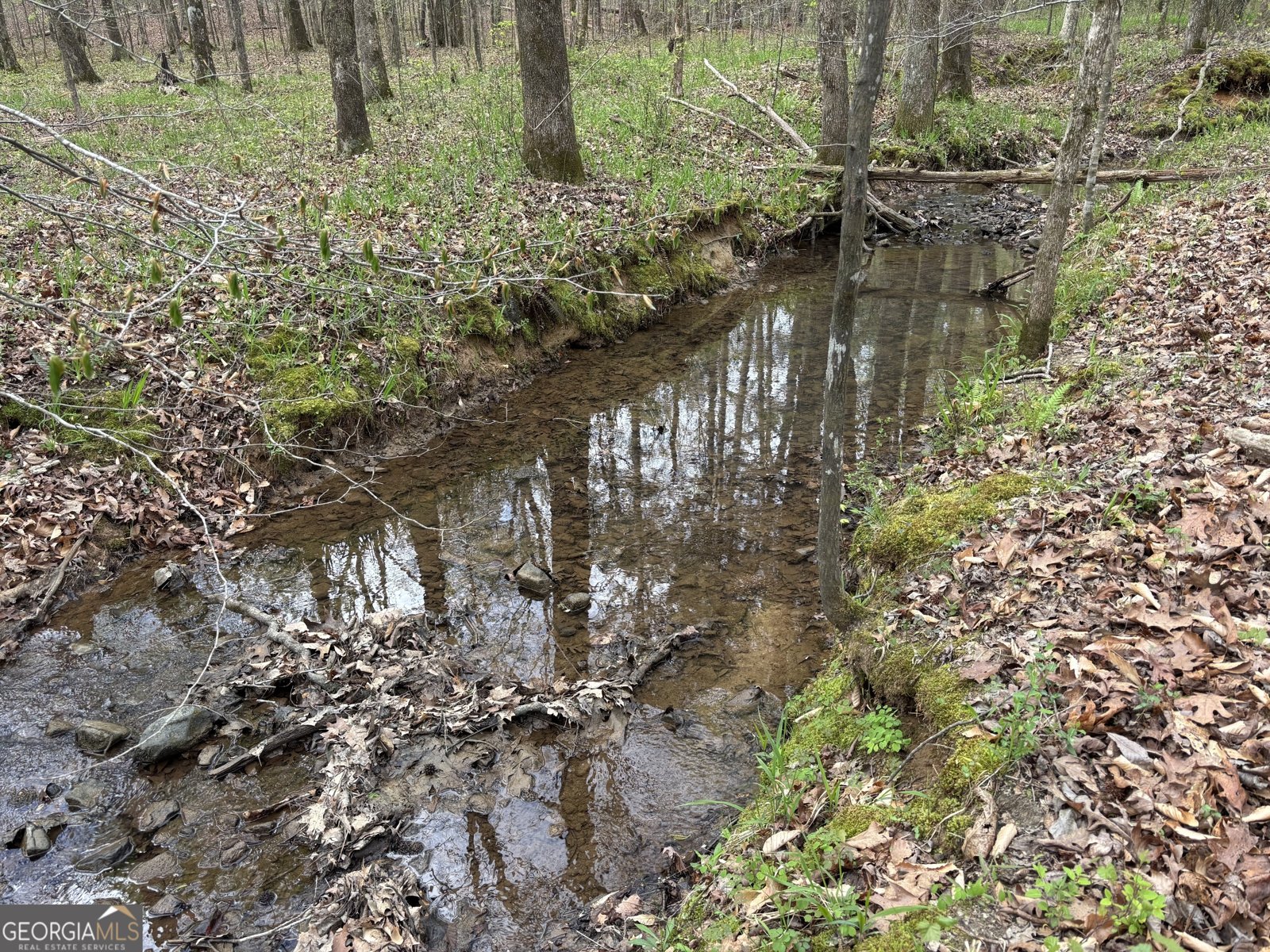2246 Neal Gap Road Summerville - Photo 42