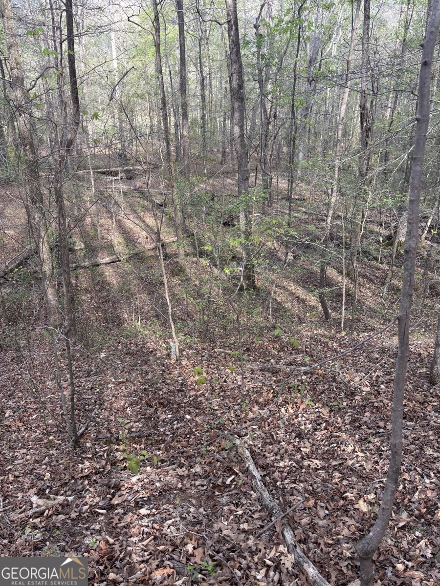 2246 Neal Gap Road Summerville - Photo 43