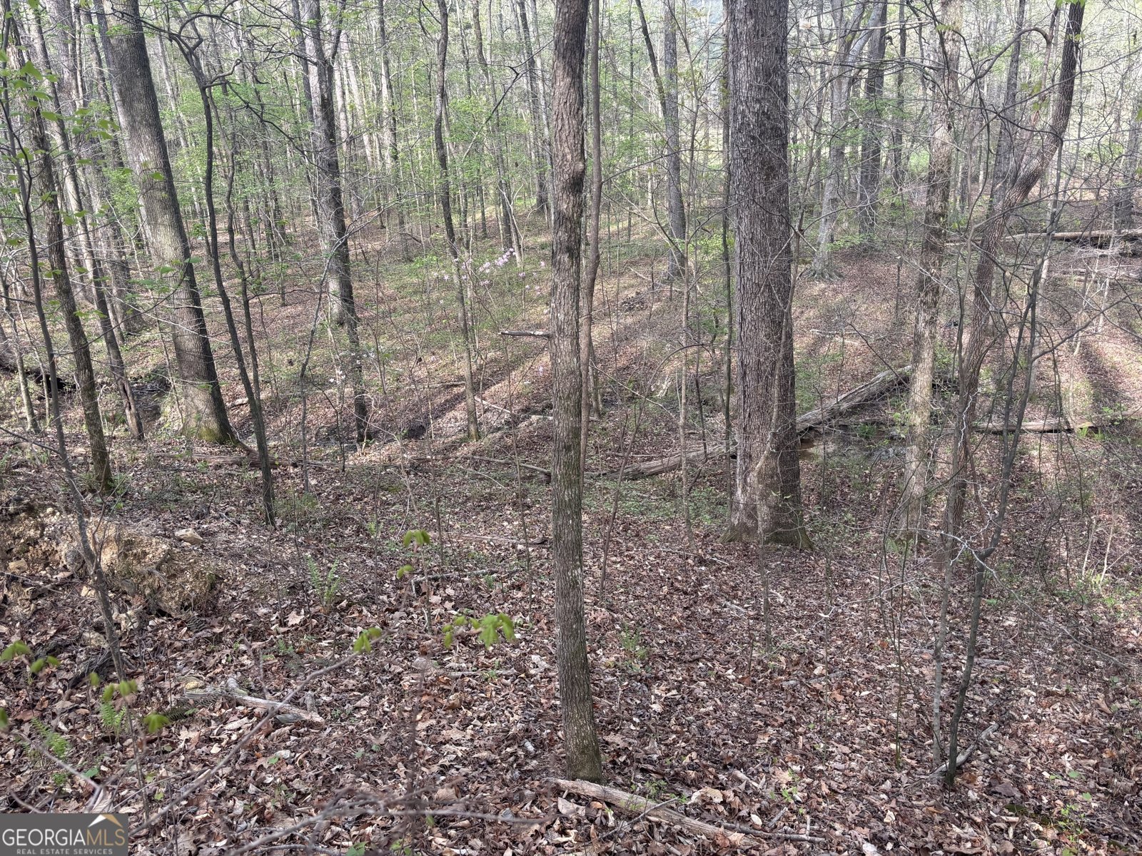 2246 Neal Gap Road Summerville - Photo 44