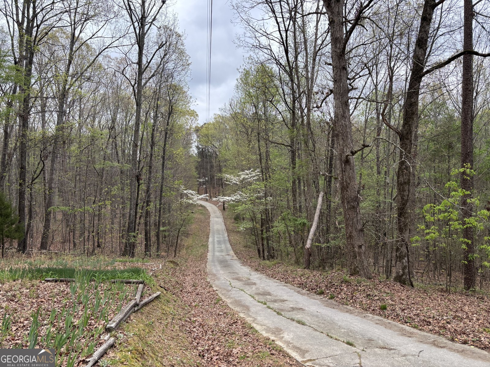 2246 Neal Gap Road Summerville - Photo 6