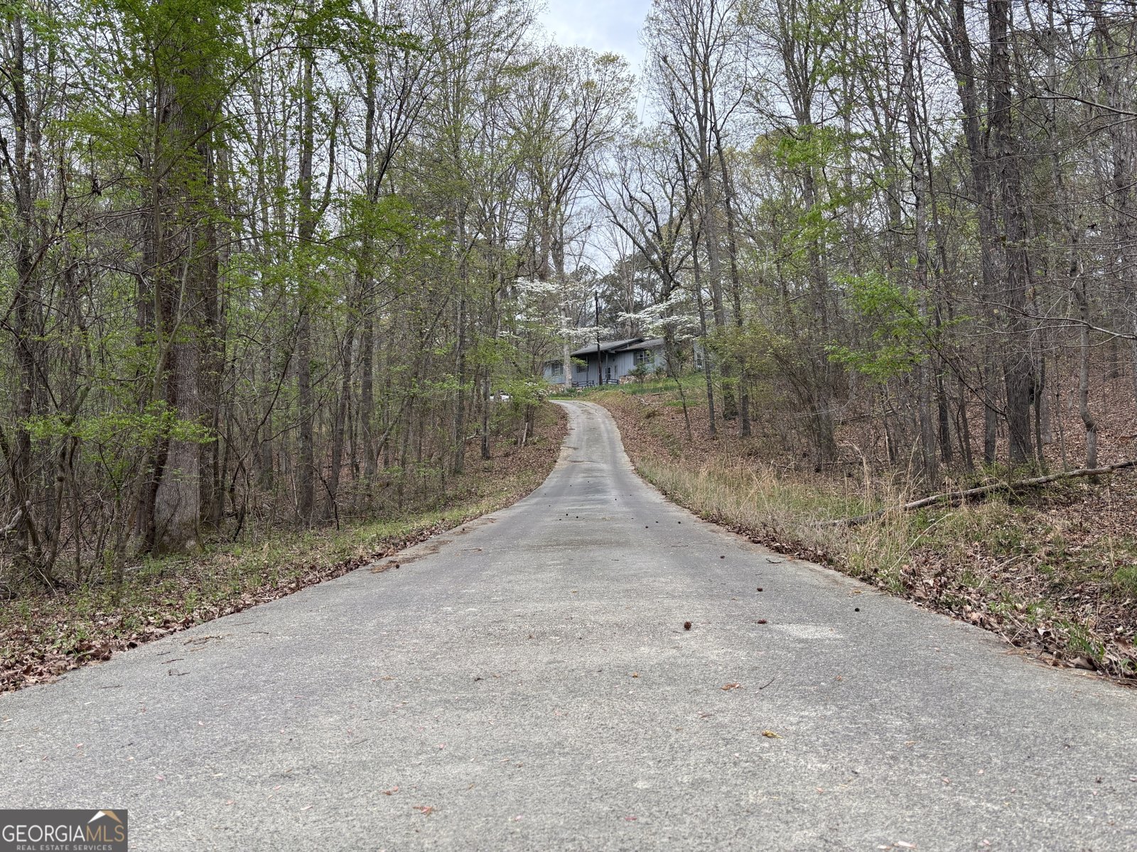 2246 Neal Gap Road Summerville - Photo 8