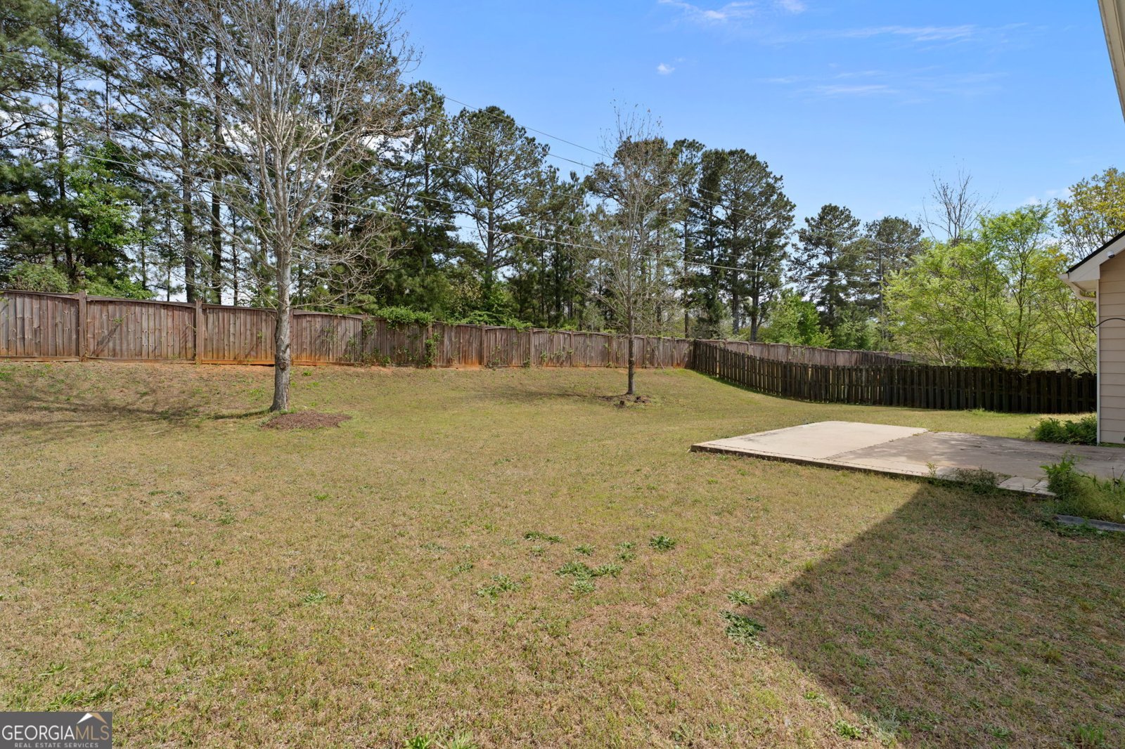 704 Jonquil Court Locust Grove - Photo 46