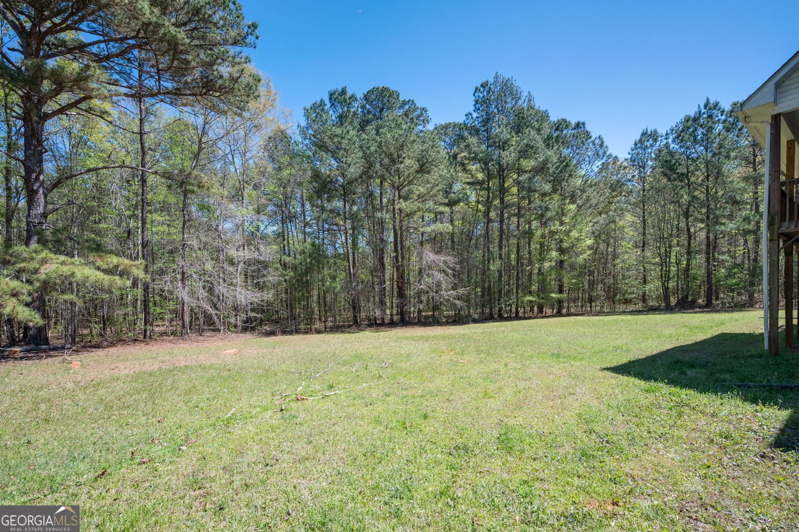 1603 Highway 16 Jackson - Photo 42