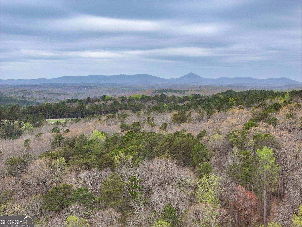 405 Wood Trace Ball Ground - Photo 45