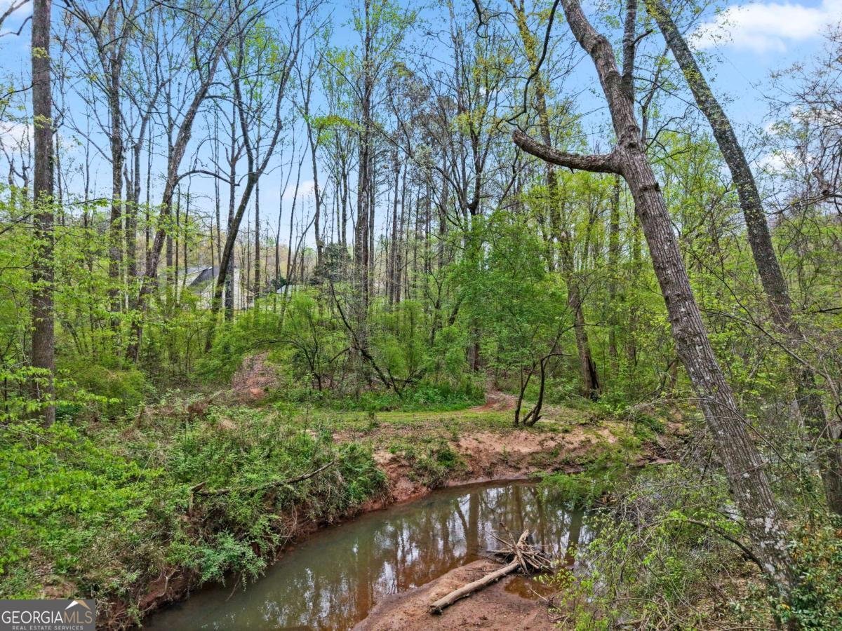 135 Creekview Drive Newnan - Photo 35