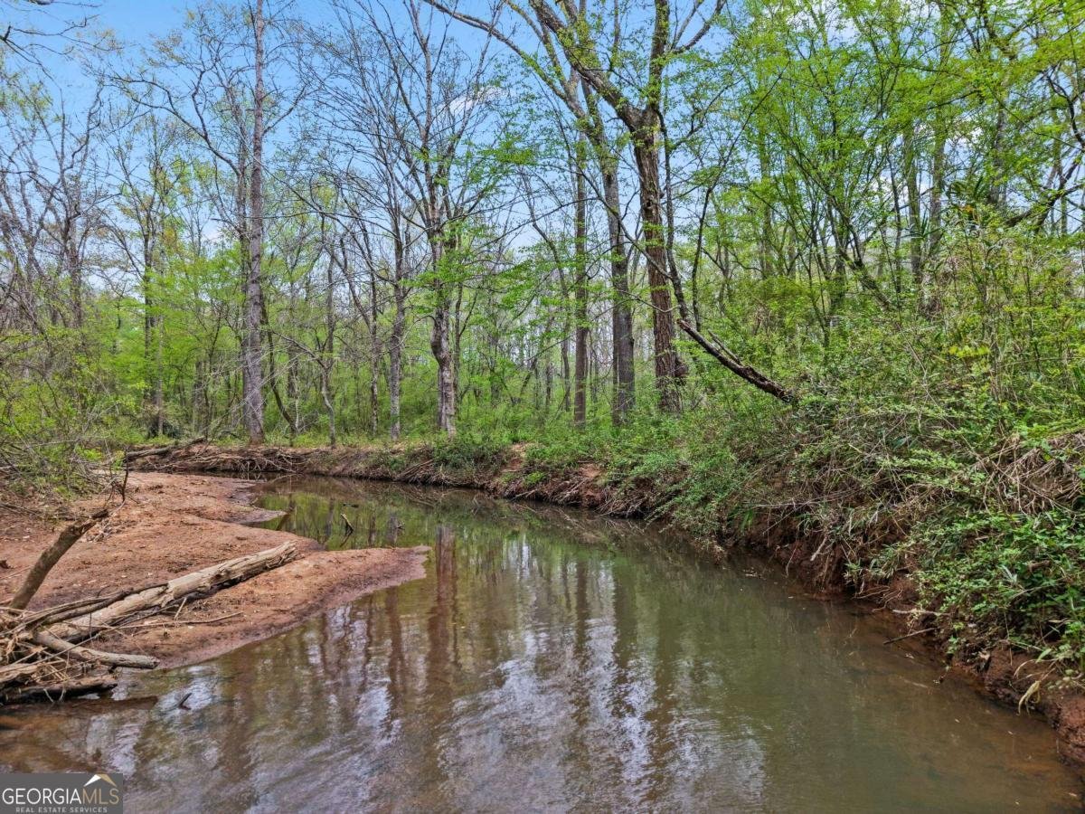 135 Creekview Drive Newnan - Photo 36