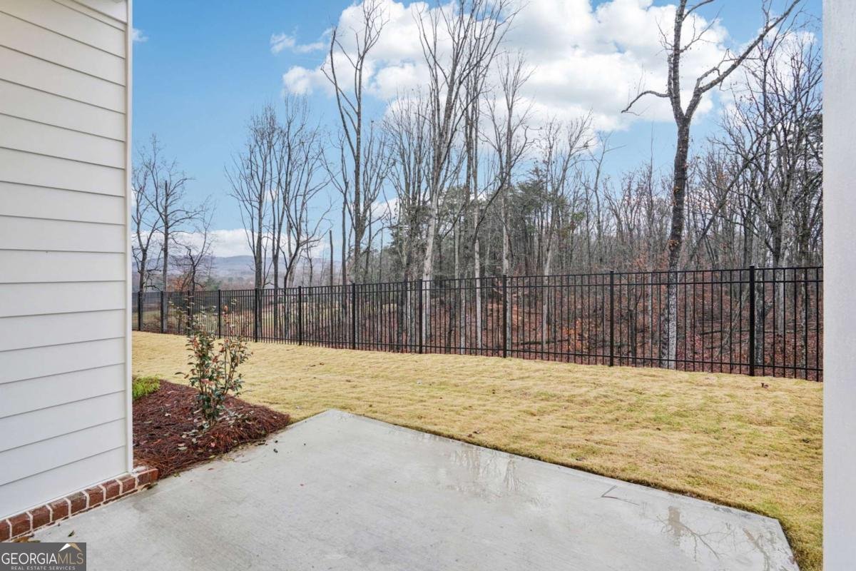 581 Beechwood Way Hoschton - Photo 34