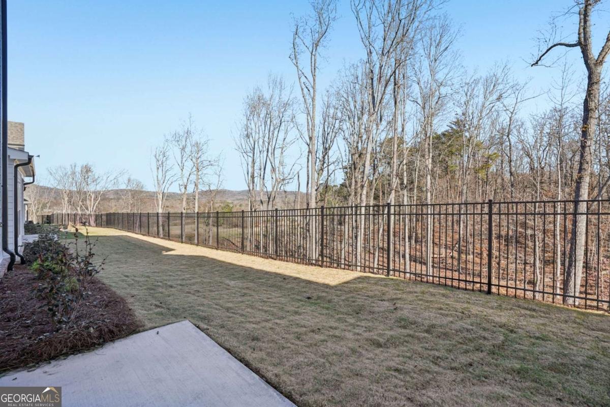 581 Beechwood Way Hoschton - Photo 40