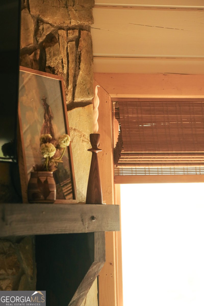 7 Ascherman Court Blue Ridge - Photo 11