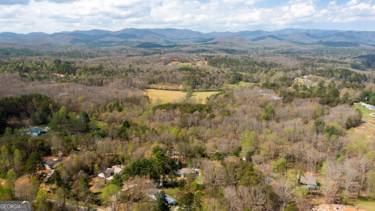 61 Sunset Circle Blue Ridge - Photo 34