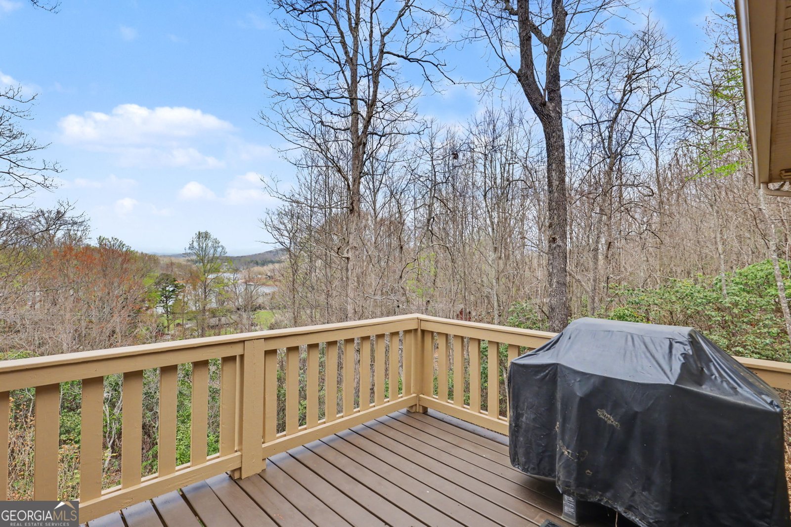 776 Amethyst Lane Hiawassee - Photo 48