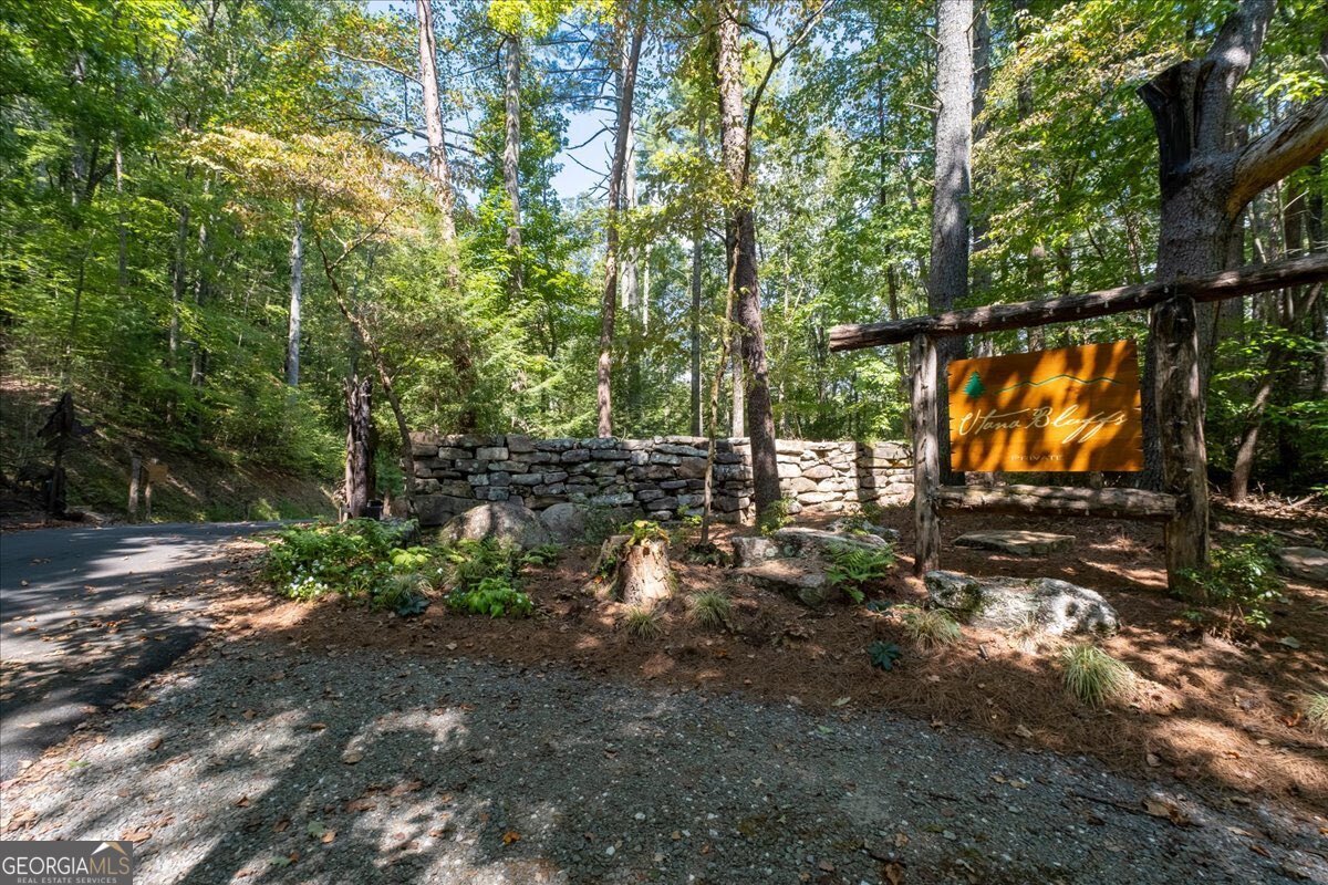 207 Utana Bluffs Trail Ellijay - Photo 85