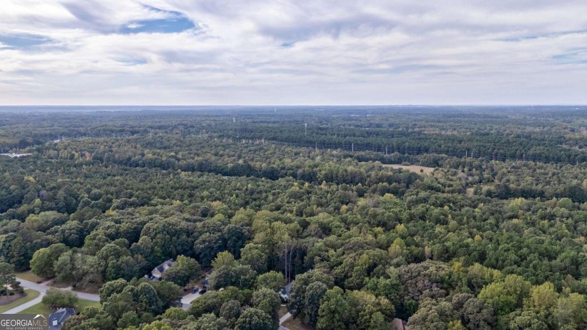 1490 Oconee Crossing Circle Bogart - Photo 78