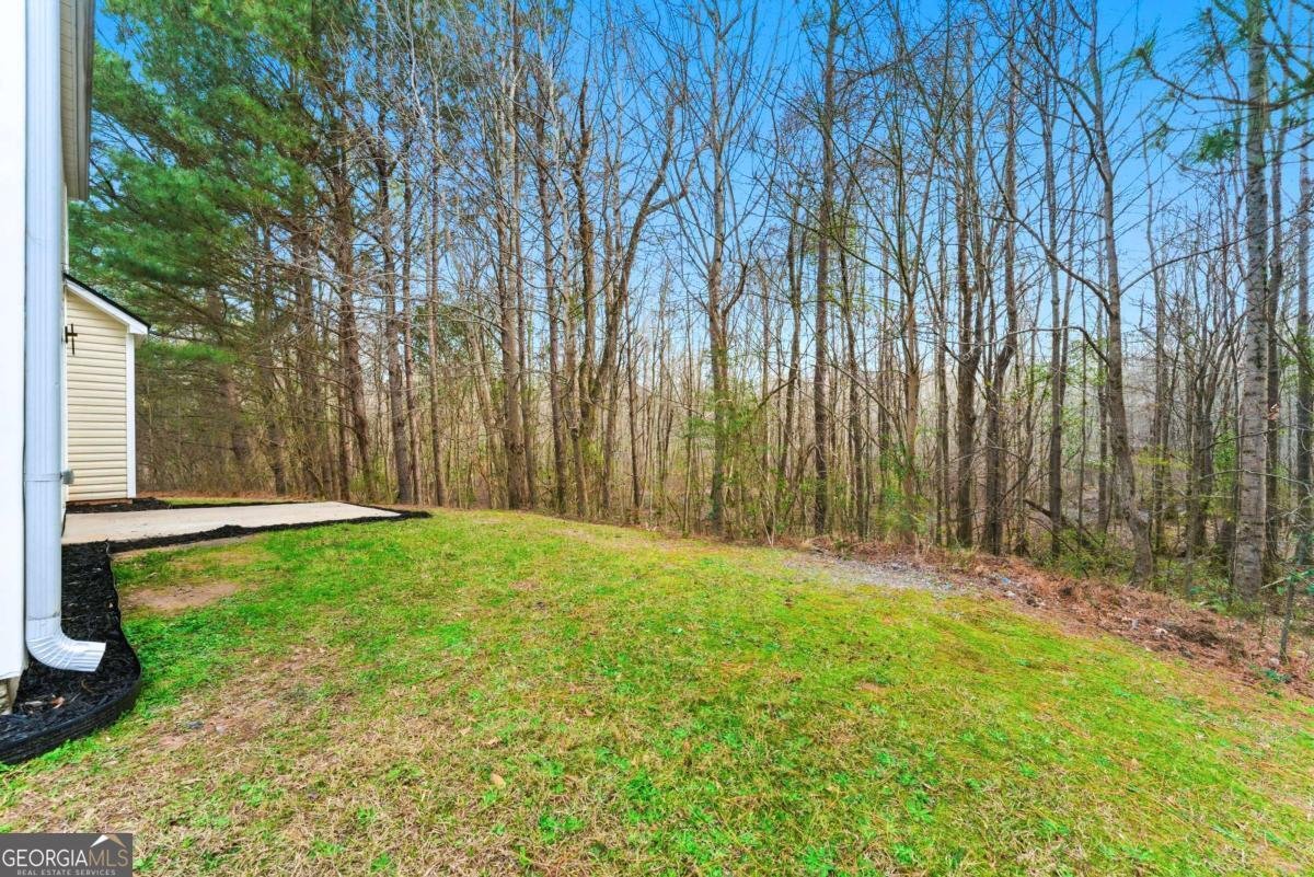 360 Walton View Fairburn - Photo 28