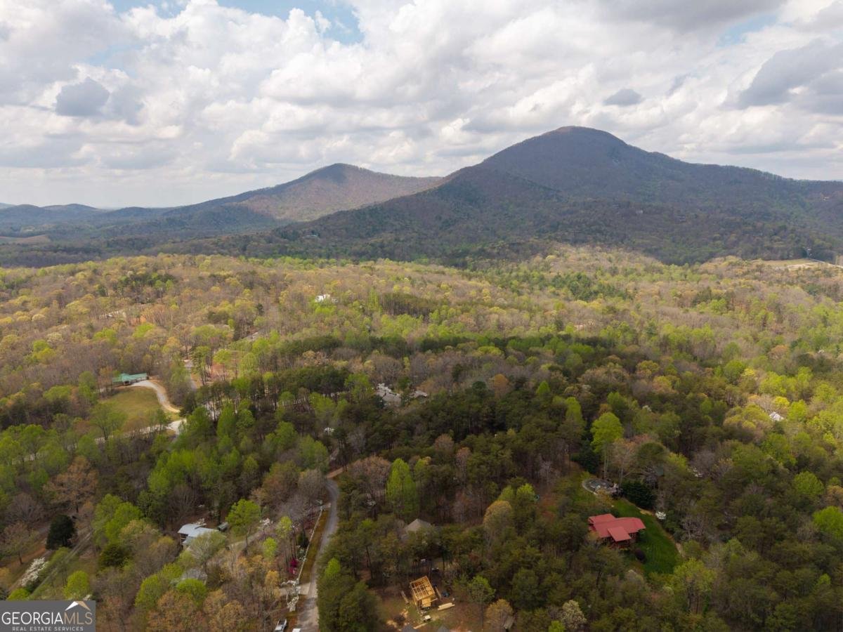 99 Duncan Bridge Trail Cleveland - Photo 11