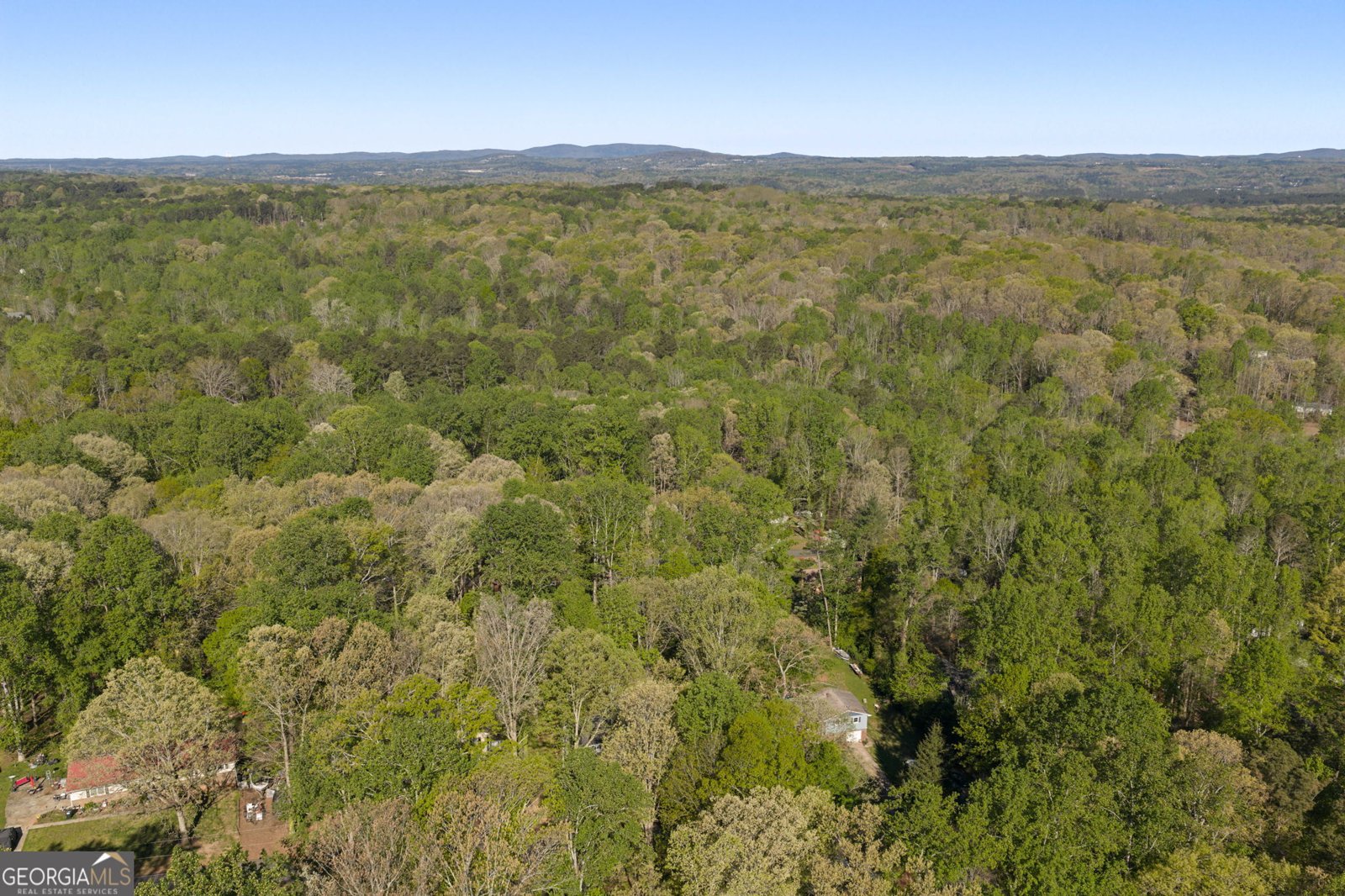 193 Shady Lane Circle Canton - Photo 29