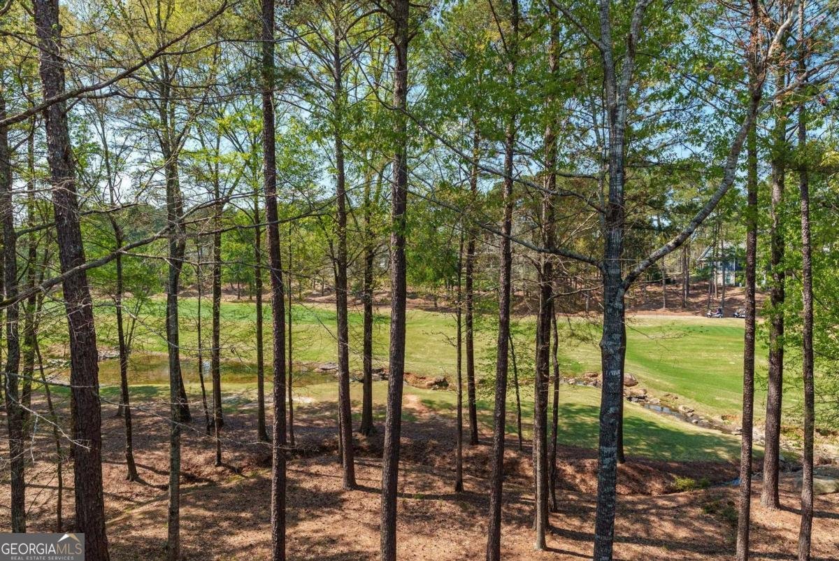 1040E Tailwater Greensboro - Photo 36