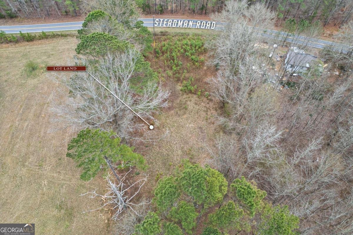 5534 Steadman Road Tallapoosa - Photo 35