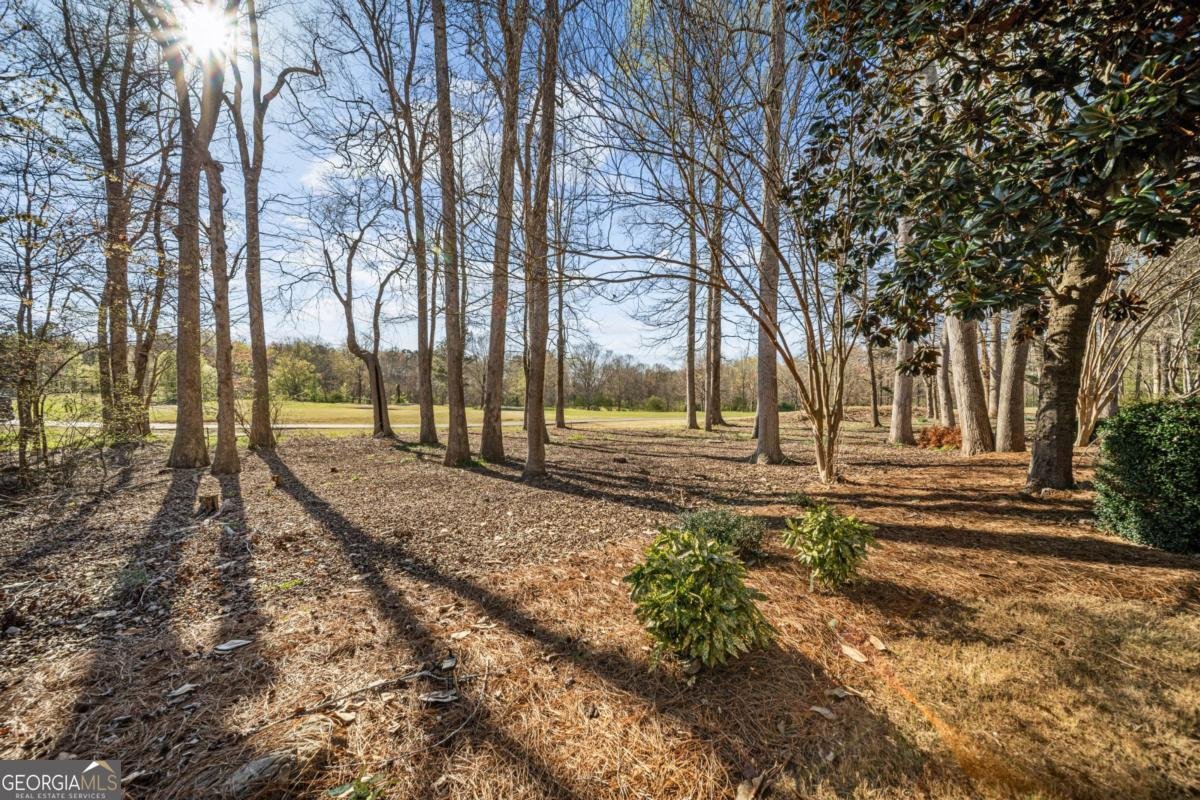 7105 Sheffield Place Cumming - Photo 44