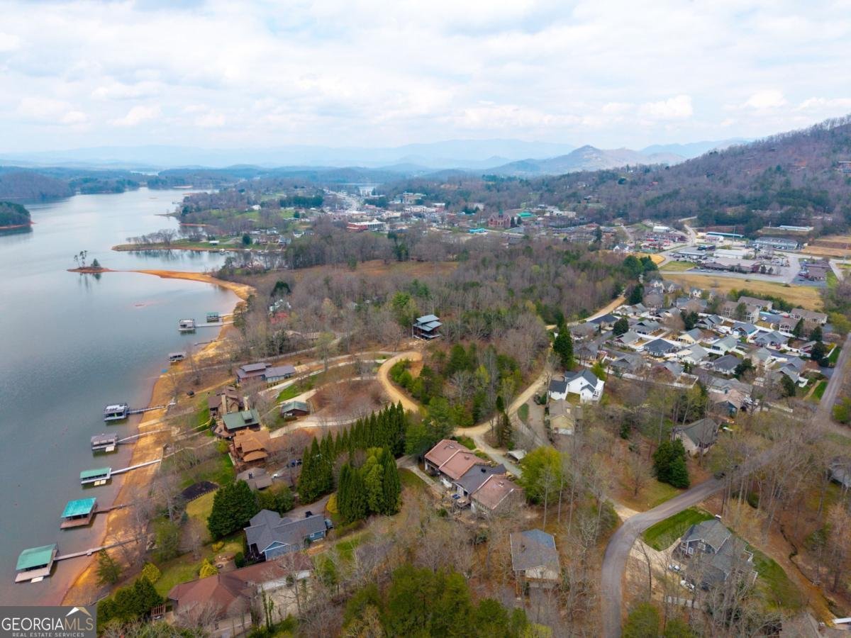 23 Lake Trail Hiawassee - Photo 73