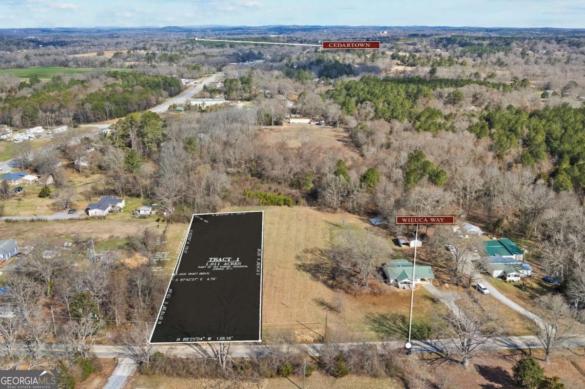 TRACT2 WIEUCA Way Cedartown - Photo 36